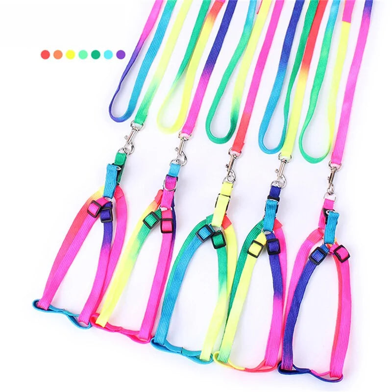 Colorful Adjustable Pet Leash