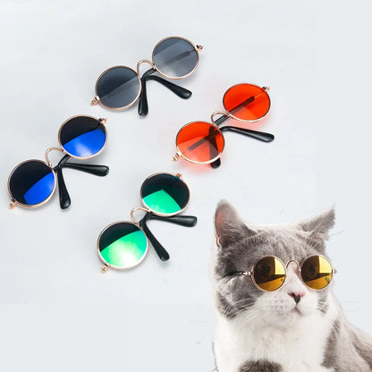 Pet Sunglasses