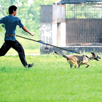 Reflective Rope Pet Leashes