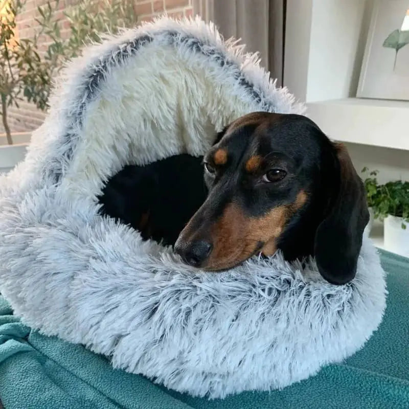 Calming Plushy Pet Bed