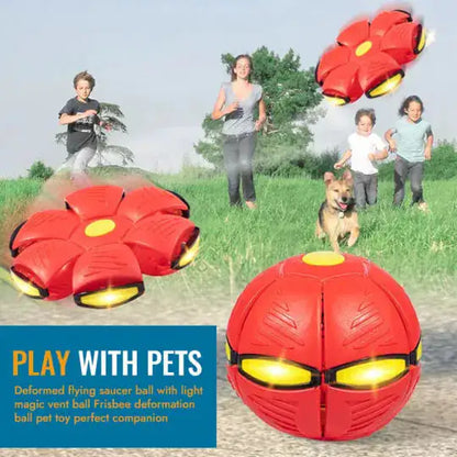 Pet Flying Saucer Ball